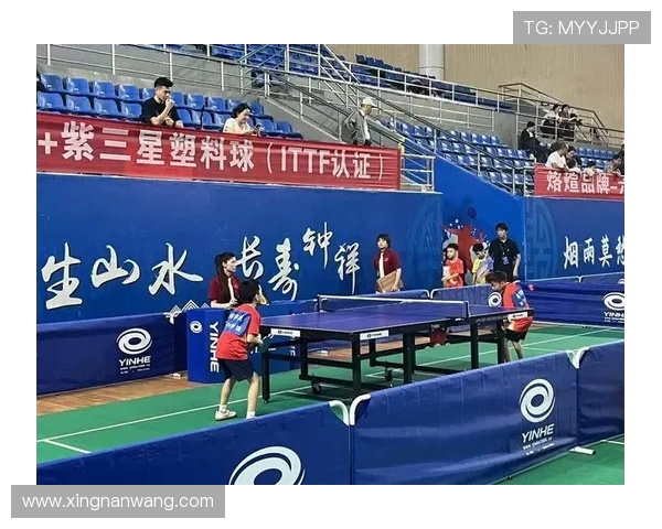 武汉乒乓球队运营革新探索新模式助力体育发展与人才培养