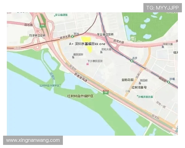 深圳乒乓球队实力深度解析及对比分析全景展示